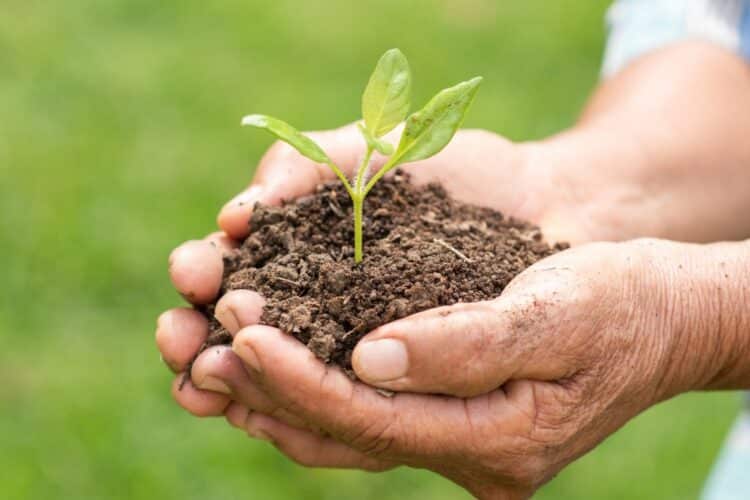 Prefeitura de Araxá abre inscrições para o Projeto Fosfogesso 2023