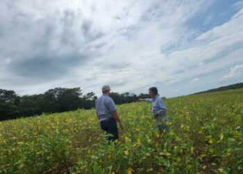 Distribuidora de insumos Cultura Agromais amplia atuação em Minas Gerais