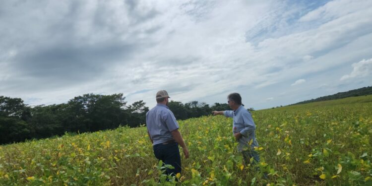 Distribuidora de insumos Cultura Agromais amplia atuação em Minas Gerais