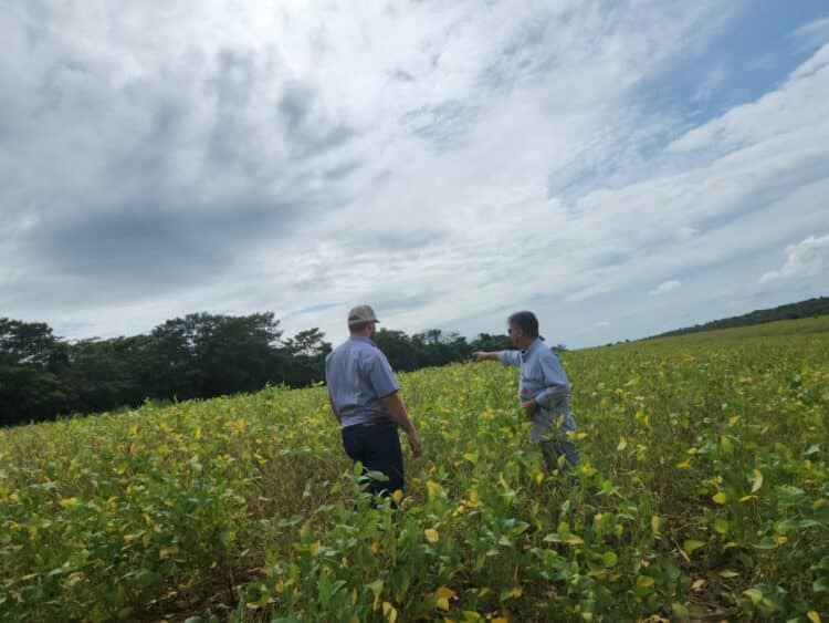 Distribuidora de insumos Cultura Agromais amplia atuação em Minas Gerais
