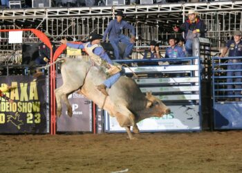 Pablo Assunção consegue 88.75 pontos e assume a liderança do rodeio do ARS