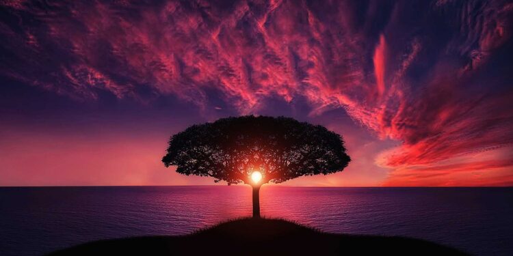 ENTARDECER DA VIDA – Maria Alice Bártolo