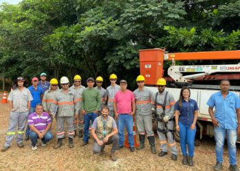 IPDSA promove capacitação para servidores públicos que realizam podas e cortes de árvores