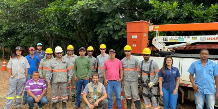 IPDSA promove capacitação para servidores públicos que realizam podas e cortes de árvores