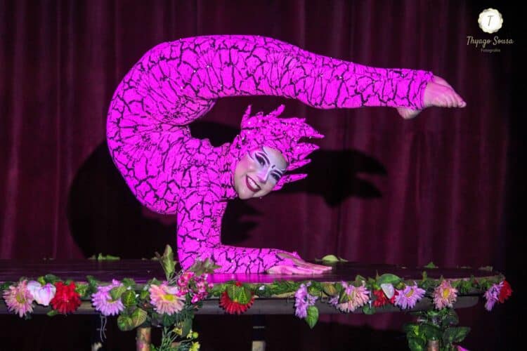 Secretaria Especial de Cultura, Ministério do Turismo e Cemig apresentam     “CIRCO DOS SONHOS NO MUNDO DA FANTASIA”.