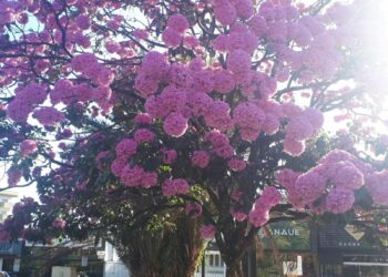 Dia dos Namorados promete aquecer o comércio mineiro e Araxá está preparada