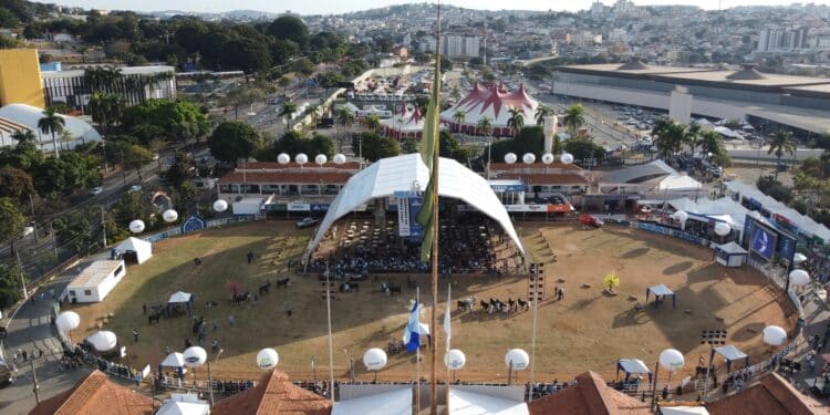 Megaleite 2023 movimenta R$210 milhões e garante novos benefícios para os produtores