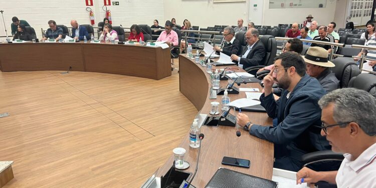 Vereadores aprovam projetos para abertura de crédito e termos de fomento