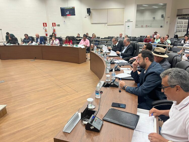 Vereadores aprovam projetos para abertura de crédito e termos de fomento