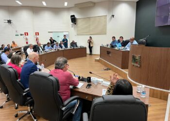 Energia Fotovoltaica, Direitos dos Animais e Testes Oftalmológicos para Idosos são temas de projetos aprovados pelo Legislativo