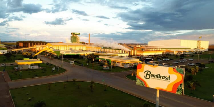 Bem Brasil demonstra compromisso com agricultura sustentável e preservação ambiental no Dia Mundial do Meio Ambiente