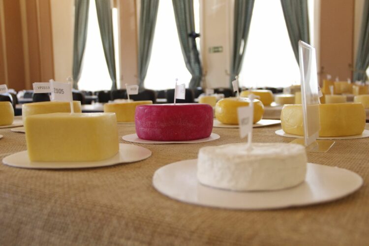 Principal Concurso Internacional de Queijos do Brasil abre inscrições para produtores de todo o mundo