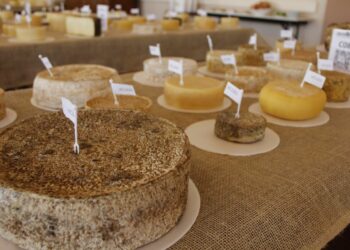 Principal Concurso Internacional de Queijos do Brasil abre inscrições para produtores de todo o mundo