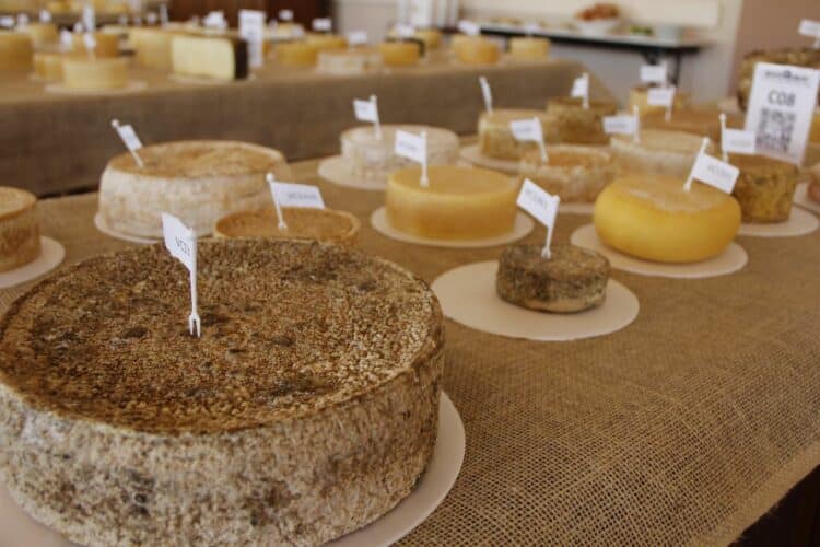 Principal Concurso Internacional de Queijos do Brasil abre inscrições para produtores de todo o mundo