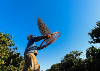 Fecomércio MG apresenta análise do Mercado de trabalho em Minas Gerais e Alto Paranaíba