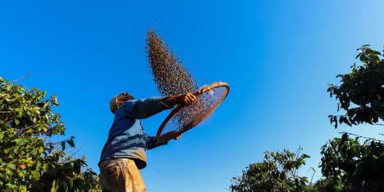 Fecomércio MG apresenta análise do Mercado de trabalho em Minas Gerais e Alto Paranaíba