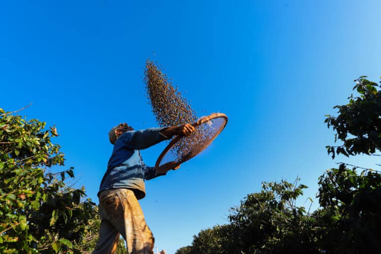 Fecomércio MG apresenta análise do Mercado de trabalho em Minas Gerais e Alto Paranaíba