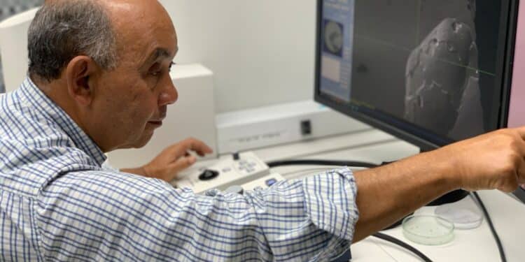 CBMM anuncia os vencedores do Prêmio CBMM de Ciência e Tecnologia 2023