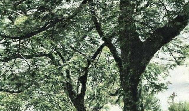 O Universo em nossas vidas…