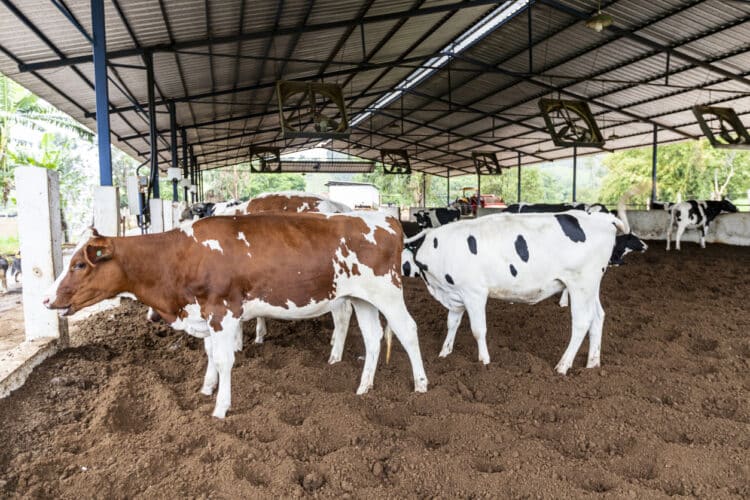 Fecomércio MG apresenta análise do Mercado de trabalho em Minas Gerais e Alto Paranaíba