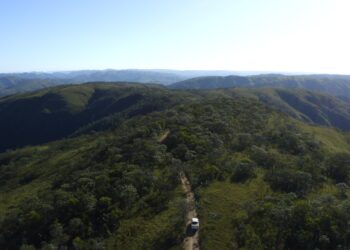 Ministério da Cultura e CBMM apresentam curta metragem “Preservadores no Brasil – Cerrado”
