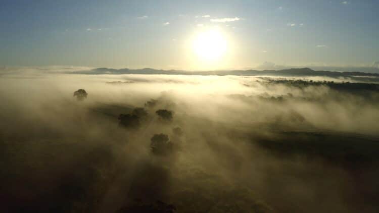 Ministério da Cultura e CBMM apresentam curta metragem “Preservadores no Brasil – Cerrado”