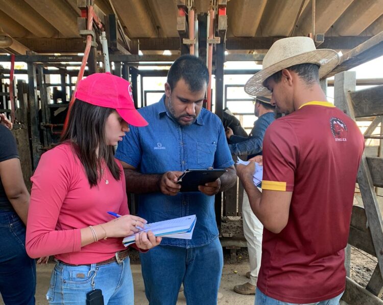 Girolando premiará, em BH, os melhores dos Rankings 2022/2023
