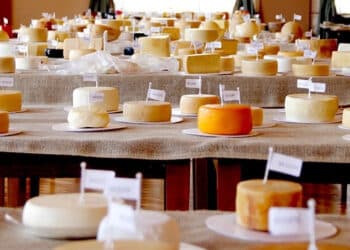 O Brasil no mapa mundial do queijo: maior evento do segmento na América Latina começa nesta quinta (24) em MG