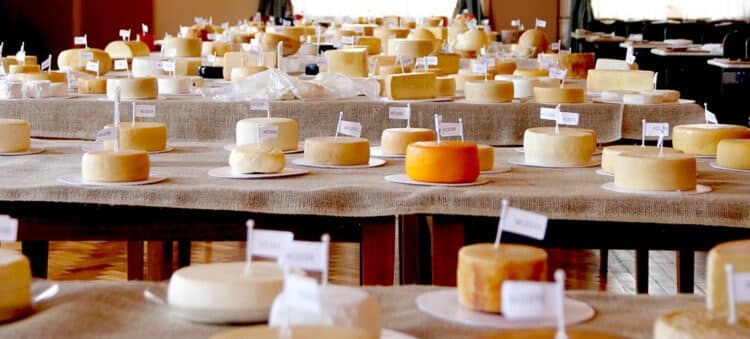 O Brasil no mapa mundial do queijo: maior evento do segmento na América Latina começa nesta quinta (24) em MG