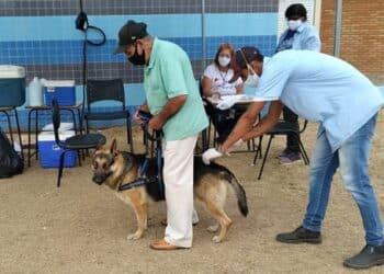 Campanha de Vacinação Antirrábica Animal na Zona Urbana acontece de 11 a 17 de setembro