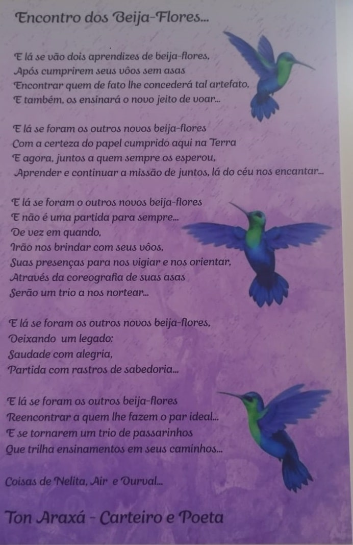 FLICAÉ – Feira Literária do Colégio Amar é …