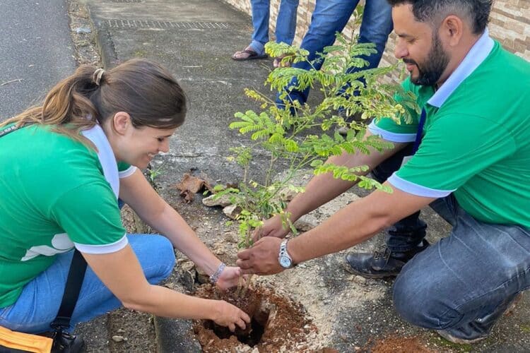 Araxá recebe mais de 3.500 árvores em 2023