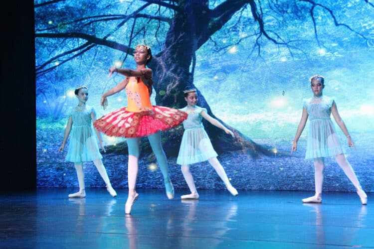 Sucesso, Festival CDK se torna um marco para este tipo de evento na cidade