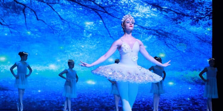 Sucesso, Festival CDK se torna um marco para este tipo de evento na cidade