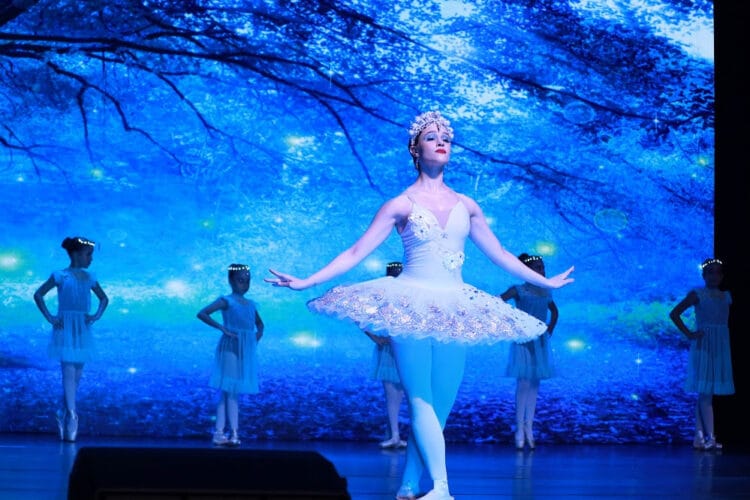 Sucesso, Festival CDK se torna um marco para este tipo de evento na cidade