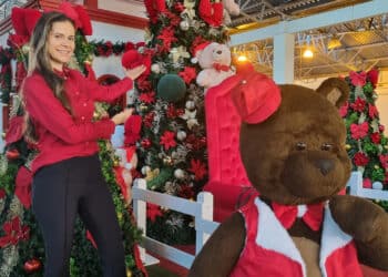 FestNatal: fim de semana tem Papai Noel e grandes shows