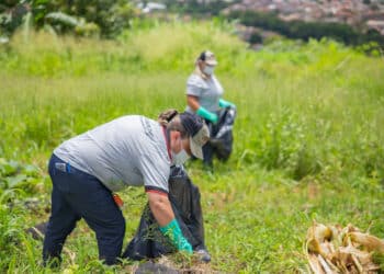 Primeiro LIRAa de 2024 aponta índice de 2,9% de infestação do mosquito da dengue em Araxá; registro é 1,3% menor em relação a 2023