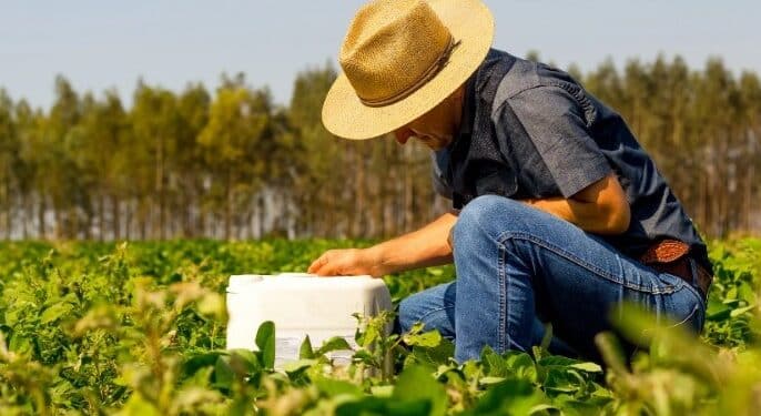 Secretaria de Agricultura e Pecuária disponibiliza apoio técnico para impulsionar produtividade