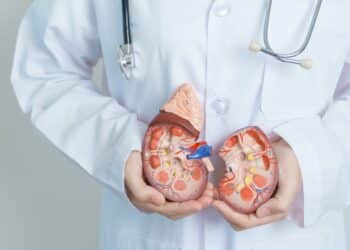 Cerca de 15% da população mundial vive com algum tipo de doença renal