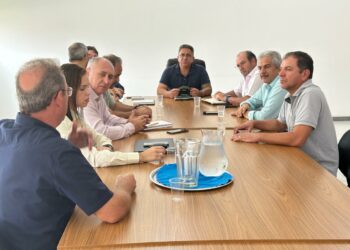 Produtores de Araxá investem na produção de laranja e visam implantação de indústria nos próximos anos