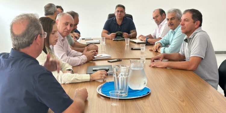 Produtores de Araxá investem na produção de laranja e visam implantação de indústria nos próximos anos