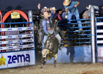 Conheça as grandes promessas do rodeio do ARS 2024