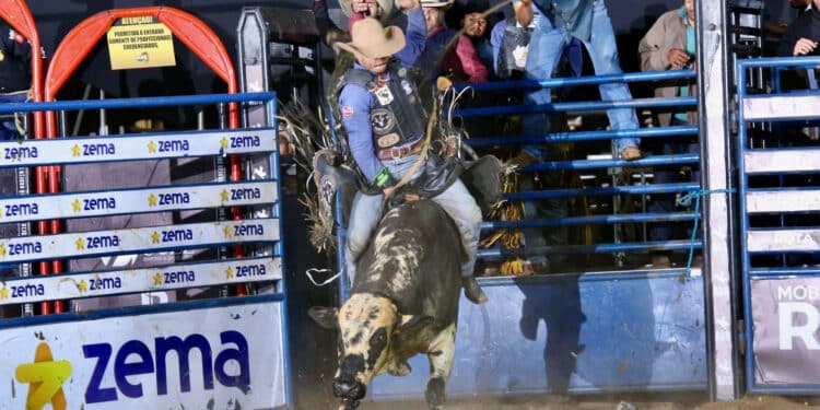 Conheça as grandes promessas do rodeio do ARS 2024