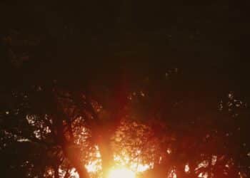 O entrave no mercado de carbono