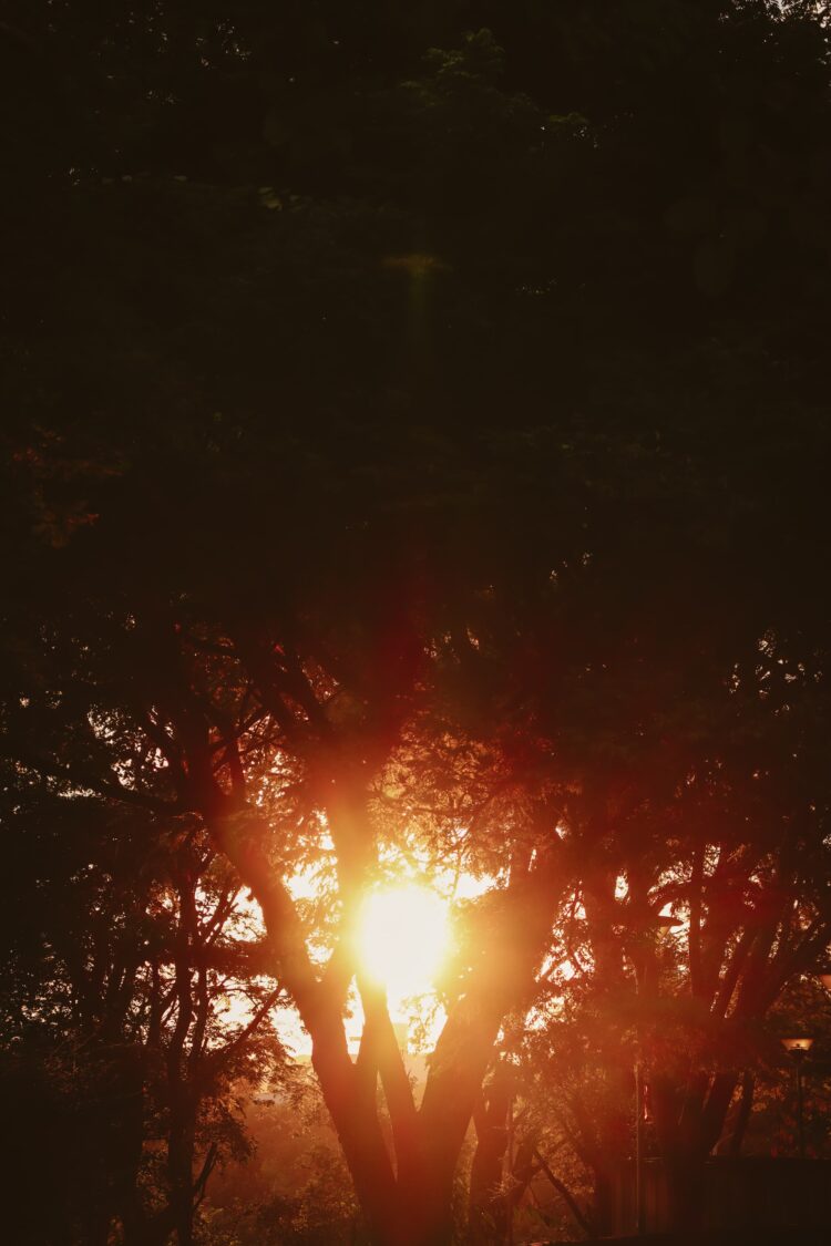 O entrave no mercado de carbono