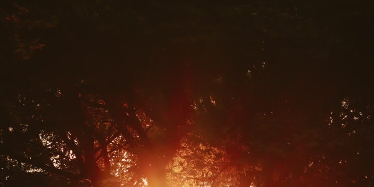 O entrave no mercado de carbono