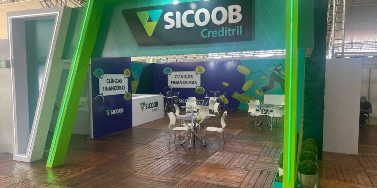 Diástase abdominal: o que é, sintomas, prevenção e tratamento