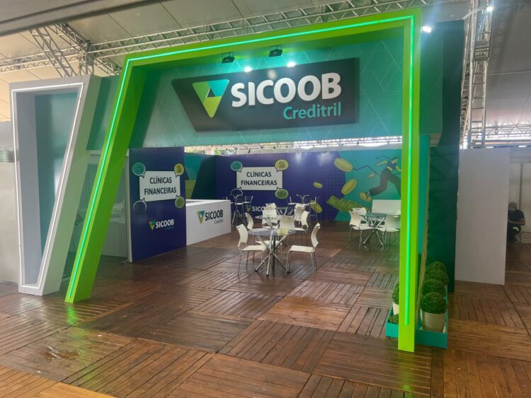 Diástase abdominal: o que é, sintomas, prevenção e tratamento