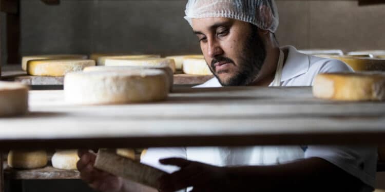 ExpoQueijo Brasil já tem inscritos de praticamente todos os estados brasileiros