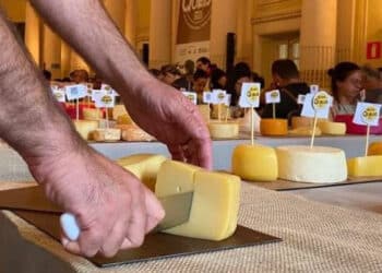 Prorrogadas as inscrições para o Concurso Internacional da ExpoQueijo Brasil 2024